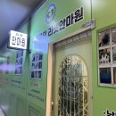 수앤수안마원 이미지