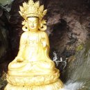 제주미당 이미지