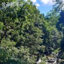 창공펜션 이미지