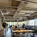 하스커피 이미지