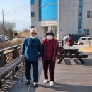 서예(주간) 이미지