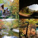 국립가리왕산자연휴양림 이미지