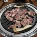 참말로육구구이