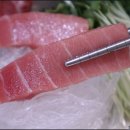 진참치 이미지