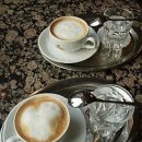 브라우너 이미지