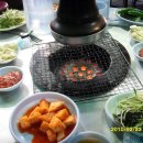 태백생고기 Daum카페