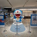 삿포로여행 신치토세 공항 더라운지앱 로얄호스트 라운지 무료 식사 후기
