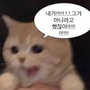 이천수선 이미지
