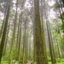 남원읍-109 이미지