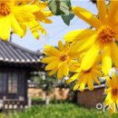 함평 이재혁가옥 이미지