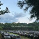 정월골프클럽 이미지