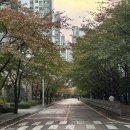 주식회사올푸드영주 | 11월에 뭘 했냐면요