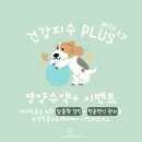 뉴엘동물의료센터 이미지