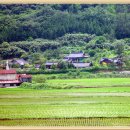 송곡1리 이미지