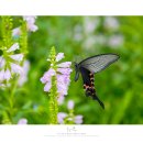 탄천면사무소 이미지