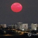 달오름 티스토리