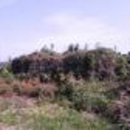 함덕연대 이미지