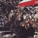 분당-266 이미지