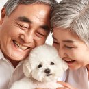 미래칼라현상소