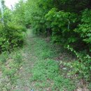 성암 농장 이미지