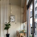 양말코히 이미지