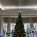 해 호텔 | 제주 롯데호텔 숙박후기 해온수영장(겨울이용)