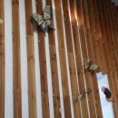 도시와농촌 이미지