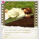 ♬ 눈의꽃(미안하다 사랑한다 ost) 이미지