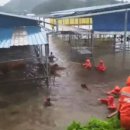 이용식농장 이미지