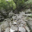 국립유명산자연휴양림 이미지