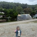 소3-28 | 28개월 아기랑 소 달구지 타기, 유정란 꺼내기가 가능한 용인 한터농원 후기