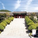 소나무부분정비 연합뉴스
