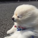 제주도여행친구