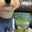 견슐랭 | 알러지 걱정 없이 비건 간식 강아지간식추천 견슐랭 콩고기