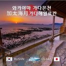 예술인기살리기<음악2> | 오사카 와카야마 온천 가성비 카다해월 료칸 숙박 가이세키 후기