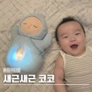 아기 수면 애착인형 추천 블루래빗 새근새근 코코
