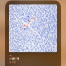 [9월1-2주차] 일상 기록