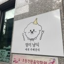 멍이냥식 이미지