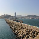 오동도