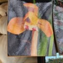 최상식농장 이미지