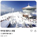 하이원 팰리스호텔 이미지