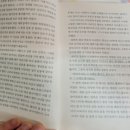 100세동안 | 창문넘어 도망친 100세 노인, 독서후기