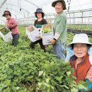 완주농장 이미지