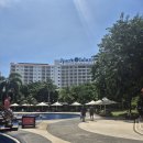 세부,보홀 여행기 : 세부 제이파크 수영장, 풀 바 후기 김떡순 배달하기 시터 천국 세부