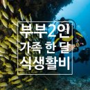 오늘 하루 운동 체력단련실 이미지