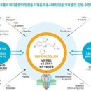 보람치과 네이버블로그