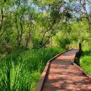 일자산자연공원(도시농업공원) 이미지