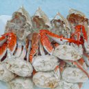 꽃게와밥 이미지