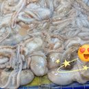 남광주상회 네이버블로그