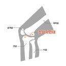 풍산동물병원 이미지